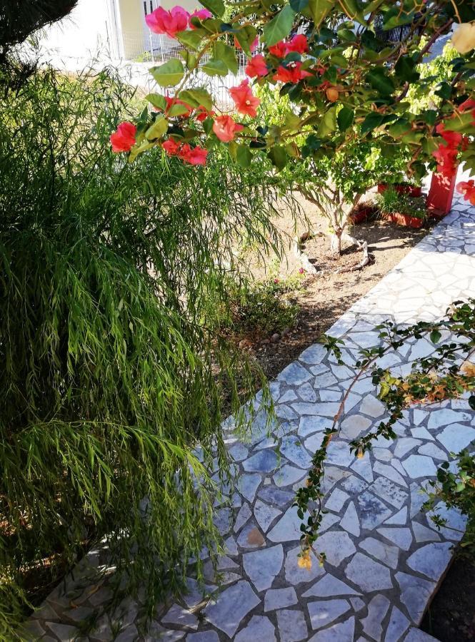 Anestis Studios Agios Georgios  Exterior photo