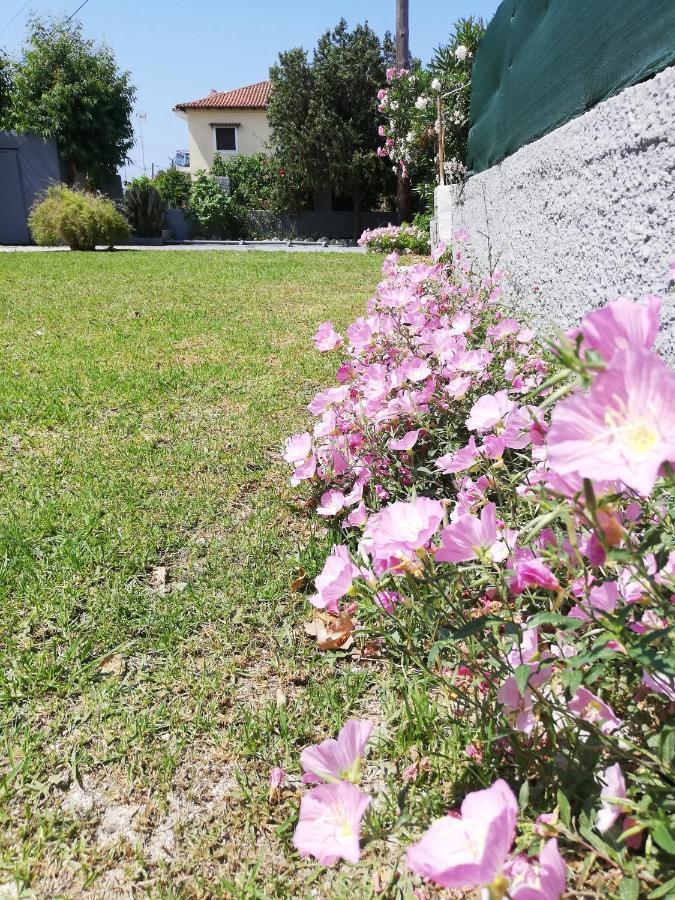 Anestis Studios Agios Georgios  Exterior photo