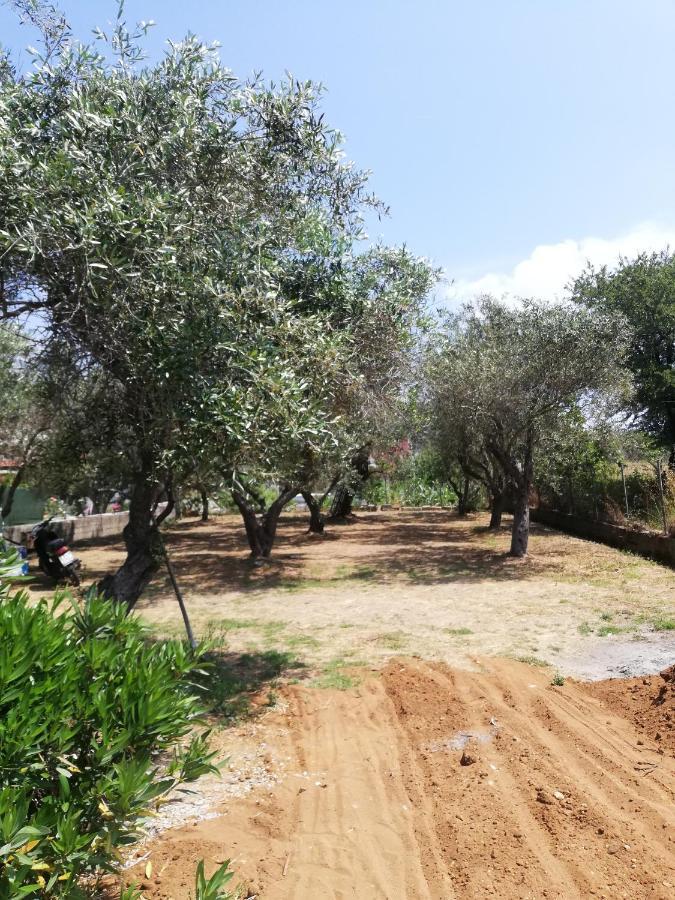Anestis Studios Agios Georgios  Exterior photo